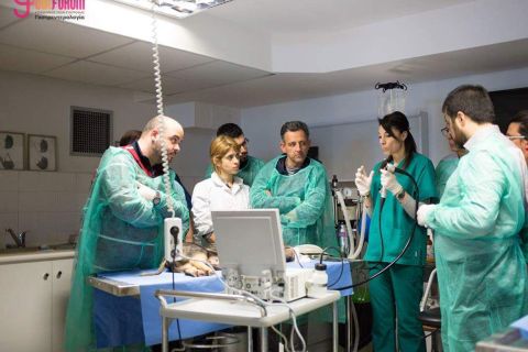 vetmedica workshops thessaloniki 2018 01 1816b3d1