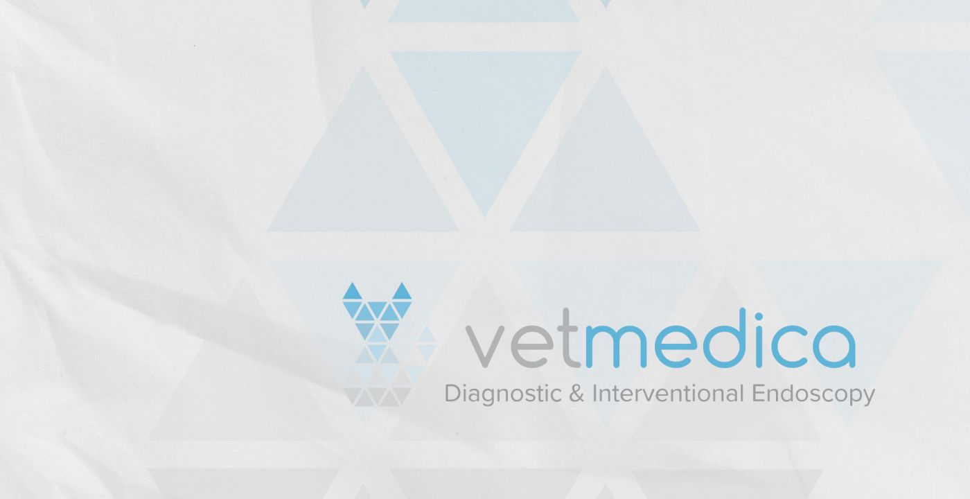 Webinar #3: Make Endoscopy Diagnosis and Treatment More Accessible and Convenient