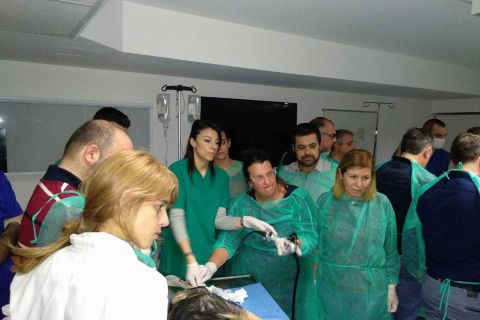 vetmedica workshops thessaloniki 2018 09 a99d88f3