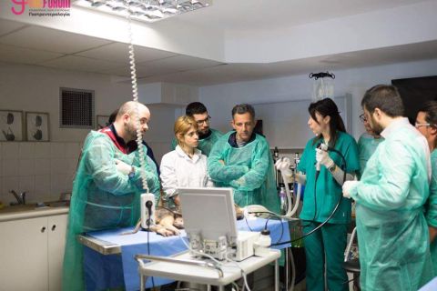 vetmedica workshops thessaloniki 2018 02 bc63eb90